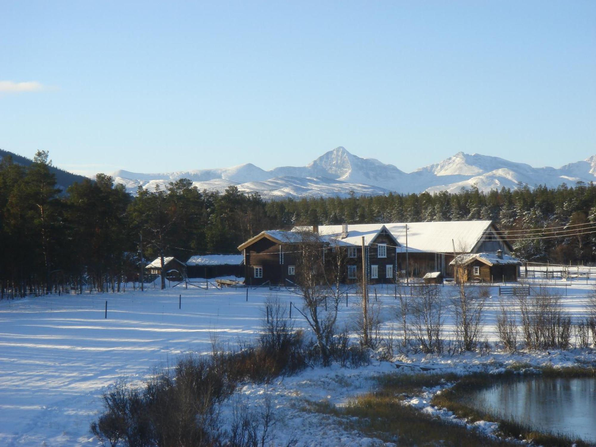 Kvebergsøya Gard Villa Grimsbu Eksteriør bilde